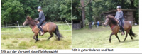 /album/fotogalerie-centered-riding/bildschirmfoto-2013-07-29-um-19-33-14-png/